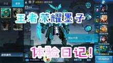王者爆料大盗最新视频,游戏内重大更新与神秘新英雄曝光 第2张 王者爆料大盗最新视频,游戏内重大更新与神秘新英雄曝光 第2张