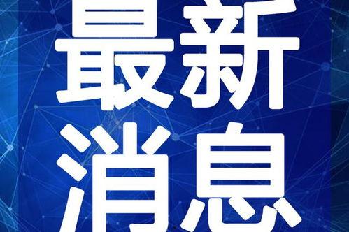 韶关网红爆料视频最新一期,揭秘网红圈幕后故事