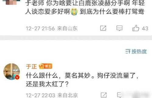 白鹿爆料绯闻视频播放全集,真相与谣言的交织 第3张 白鹿爆料绯闻视频播放全集,真相与谣言的交织 第3张