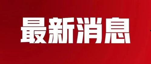 热点爆料襄阳新闻最新消息,襄阳突发！最新热点事件追踪  第3张