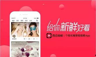 西瓜视频爆料小笙歌,小笙歌新动态，精彩内容抢先看  第3张